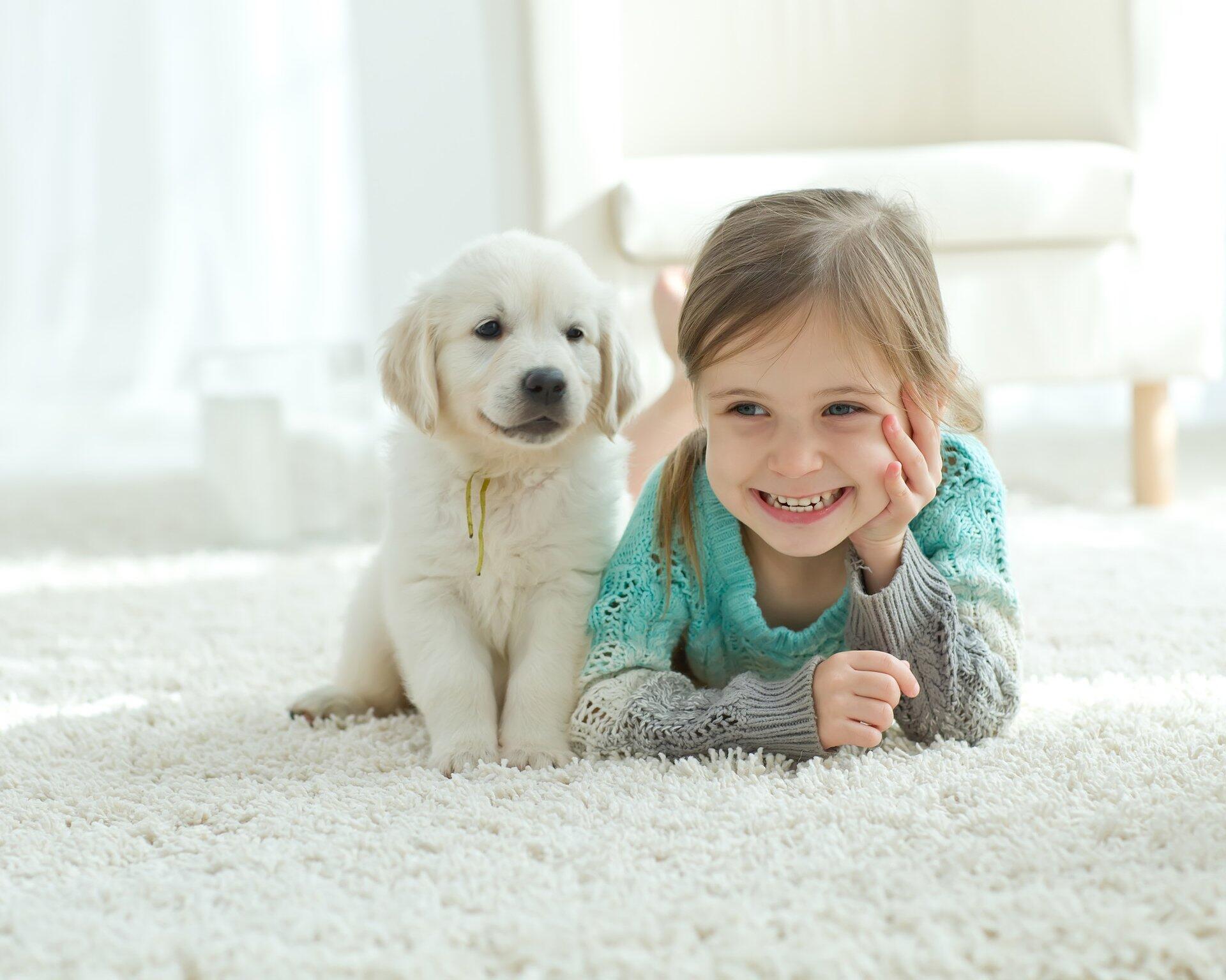 Pros and Cons of Allowing Pets in your Rental Property